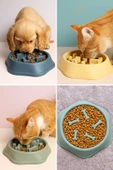 Petvien  Kedi Ve Köpek Yavaş Yeme Mama Kabı - Hızlı Yemeyi Engelleyici Yavaş Yeme Mama Kabı - 2