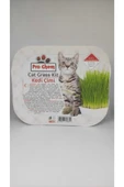 Pro Chem  Prochem Kedi Çimi - 1