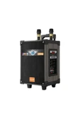 mastersonic Zore LT-910 Dijital LED Göstergeli FM Radyolu Mikrofonlu Gitar Girişli TWS 10 inç Stereo Bass Kablos - 1