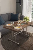 AVENZA LİVİNG TEKERLEKLİ MASA ORTA SEHPA 70X110 CVZ METAL AYAKLI - 2