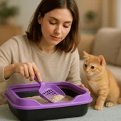 Kedi Tuvaleti Kürek Hediyeli Kedi Köpek Eğitim Tuvaleti Büyük Boy Tuvalet Kabı Mor Kedi Tuvalet Seti - 2