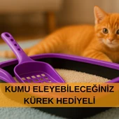 Kedi Tuvaleti Kürek Hediyeli Kedi Köpek Eğitim Tuvaleti Büyük Boy Tuvalet Kabı Mor Kedi Tuvalet Seti - 3
