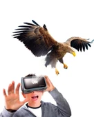 Clementoni Bilim ve Oyun Dünyadaki Hayvanların Tarihi 64093 thumbnail 4