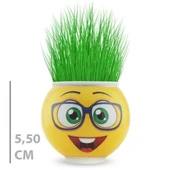 Çim Adam Saksı Emoji Figürlü 1 Adet thumbnail 2