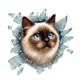 Fulcar Siamesse Araç Stickerı thumbnail 2