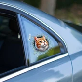 Fulcar Sarman Araç Stickerı thumbnail 1