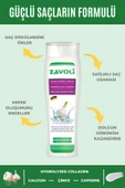 Zavoli Sarımsaklı 5 Ferment Mineral Içeren Saç Dökülmesine Karşı Şampuan 250 ml - 1