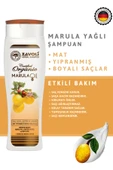 Zavoli Marula Oil Şampuan 8699349139209 - 2