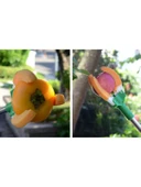 Yüksek Dal Meyve Toplama Aleti, Hasat Toplama Aparatı, 150 cm thumbnail 4