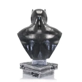 Darth Vader Büst thumbnail 2