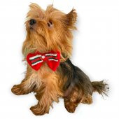 GC Silver Yılbaşı Köpek Papyonu - 1