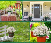 Nettenevime 6lı Set Yapay Çiçek Sazlı Mine Beyaz Renk 5 Dallı 33cm thumbnail 6