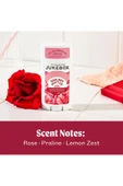 Jukebox Rose Hips Dont Lie Alüminyumsuz Stick Deodorant 75GR - 4