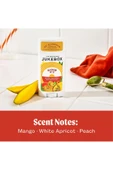 Jukebox Mango No5 Alüminyumsuz Stick Deodorant 75GR - 4