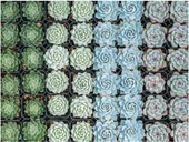 Galison Dolgun Bahçe Puzzle thumbnail 9