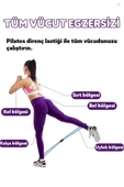 Fitness Spor Aletleri 1 Adet Pilates Egzersiz Bandı Direnç Lastiği Spor Outdoor Plates thumbnail 3
