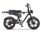 APE RYDER DC20 ÇİFT KİŞİLİK ELEKTRİKLİ BİSİKLET - 1