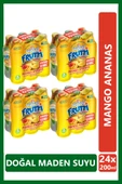 Uludağ Frutti Mango Ananas Aromalı Maden Suyu 200 ml x 24 Adet - 1
