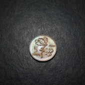 Escoines 399636889871eee4d5 1968 Bakır 5 Kuruş ÇİL Para thumbnail 4