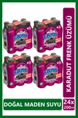 Uludağ Frutti Karadut Frenk Üzümü Aromalı Maden Suyu 200 ml x 24 adet - 1