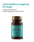Livepet Köpekler İçin Eklem Sağlığı ve Longevity Tableti - 1