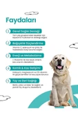 Livepet Köpekler İçin Multivitamin - 2