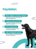 Livepet Köpekler İçin Eklem Sağlığı ve Longevity Tableti - 2