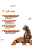 Livepet Kediler İçin Sağlıklı Deri ve Tüy Tableti - 2