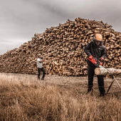 Milwaukee Bolt200 Turuncu Baret (Hava Delikli) 4932480653 - 2