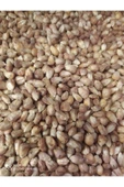 Kuruyemiş Mısır Kavurgası  250 gr - 1
