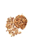 Kuruyemiş Mısır Kavurgası 100 gr - 1
