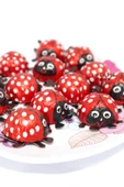 Sweetie Park Ladybird Lady Bird 10 Adet Ladybug Kırmızı Uğur Böceği Elvan Hediye Pinyata Bayram Çikolata - 3