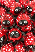 Sweetie Park Ladybird Lady Bird 10 Adet Ladybug Kırmızı Uğur Böceği Elvan Hediye Pinyata Bayram Çikolata - 2