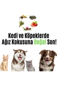 VETUGEN %100 Doğal Aktif Bileşenli Kedi Ve Köpek Diş Macunu Şeffaf Kapaklı Parmak Fırça - 2