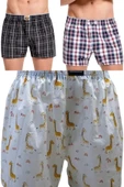 Looksense Ambassador Erkek 3 Lü Poplin  Desenli Boxer 7773 thumbnail 1