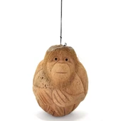 Coconat Maymun Büstü 3marakas-7 - 1