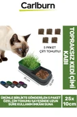 Özel Üretim 5 Adet Kedi Çimi Tohumu Topraksız Kedi Çimi Kabı 25x10cm - 1