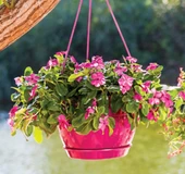 Omnipazar SO-SM02 Safir Makrome Askılı Balkon Saksı 3.4 lt Vişne 6 Adet thumbnail 3