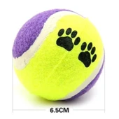 BUFFER®  3lü Renkli Desenli Tenis Topu Kedi Köpek Oyuncağı - 4