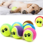 BUFFER®  3lü Renkli Desenli Tenis Topu Kedi Köpek Oyuncağı - 5
