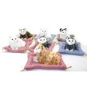 Yastıklı Ses Çıkaran Kedi - 1