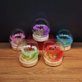 Led Işıklı Lale Cam Fanus thumbnail 2