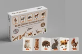 Tüm Zeka Kartları Toplam 7'li Set - 6