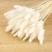 YAPAY ÇİÇEKÇİNİZ Dekoratif 3’lü Set: 8’li Yapay Lale Demeti + Okaliptus Demeti + 3’lü Pamuk Otu – Salon & Masa Çiçek Aranjmanı thumbnail 5