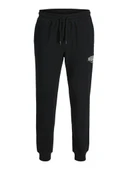 Jack Jones Gordon Makota Regular Fit Sweat Pant Erkek Eşofman Altı 12279104 - 1