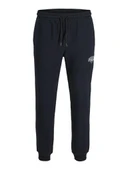 Jack Jones Gordon Makota Regular Fit Sweat Pant Erkek Eşofman Altı 12279104 - 1