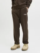 Jack Jones Tkane Soho Regular Fit Sweat Pants Erkek Eşofman Altı 12278943 thumbnail 3