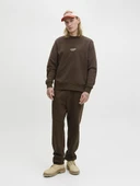 Jack Jones Tkane Soho Regular Fit Sweat Pants Erkek Eşofman Altı 12278943 thumbnail 7