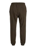 Jack Jones Tkane Soho Regular Fit Sweat Pants Erkek Eşofman Altı 12278943 thumbnail 2