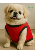 Gobo Sevimli Beyaz Ayıcık Aksesuarlı Kırmızı Kedi Köpek Kıyafeti Elbisesi XXLarge/XXL/Beden 5 - 1